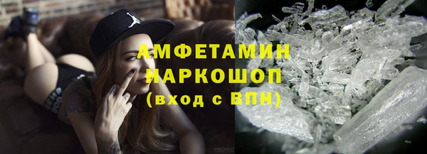 прущие грибы Абаза