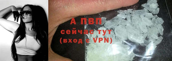 прущие грибы Абаза