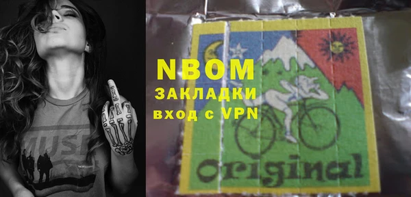 прущие грибы Абаза