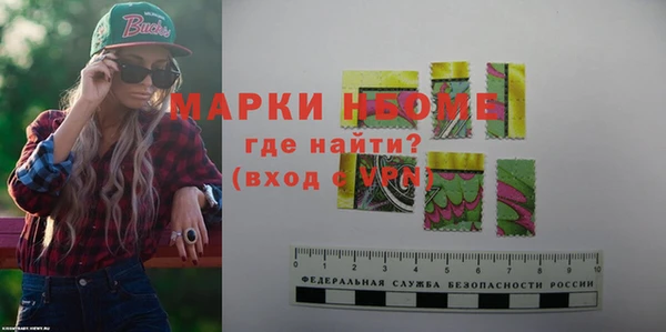 прущие грибы Абаза
