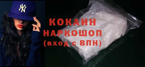 прущие грибы Абаза
