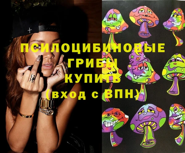 прущие грибы Абаза