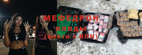 прущие грибы Абаза